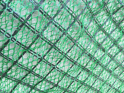 三维网植草图片4