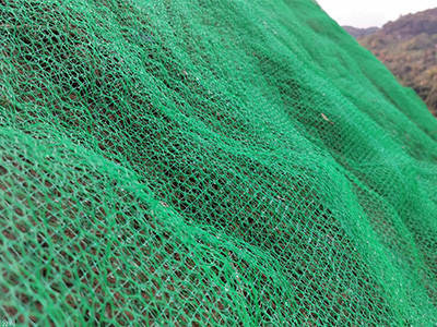 三维网植草图片5