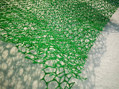 三维网植草图片6