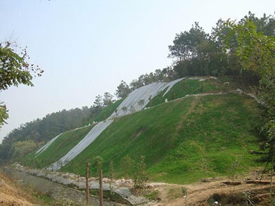 边坡绿化图片4