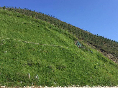 高次团粒喷播施工图片3