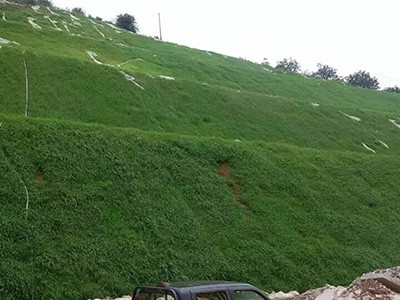 高次团粒喷播施工图片4