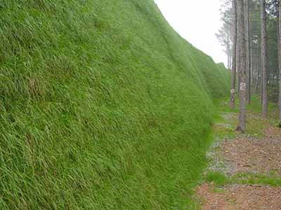 高次团粒喷播施工图片5