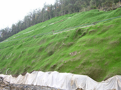 高次团粒喷播施工图片6