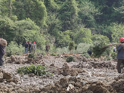 荒山复绿工程图片2