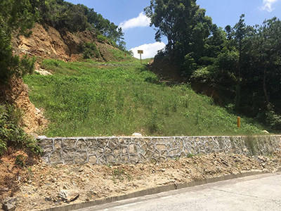 荒山复绿工程图片5