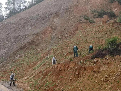 荒山复绿工程图片6