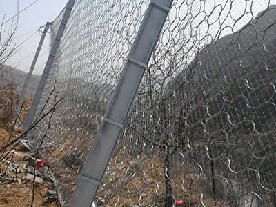 环形边坡防护网图片2 环形边坡防护网图片2