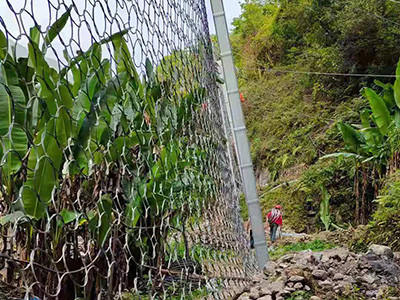 环形边坡防护网图片3 环形边坡防护网图片3