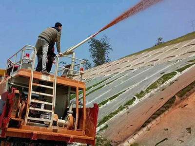 客土喷播案例图片2