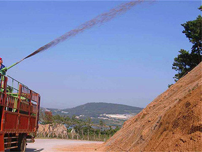 客土喷播案例图片6