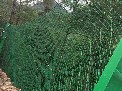 包塑边坡防护网图片2