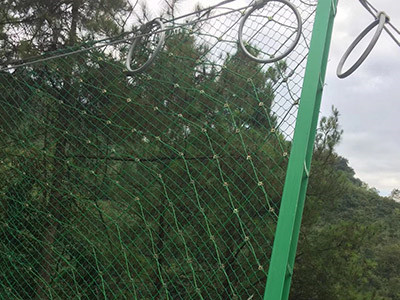 包塑边坡防护网图片4