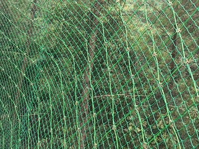 包塑边坡防护网图片5