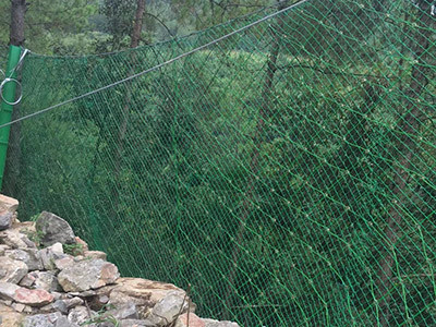 包塑边坡防护网图片6