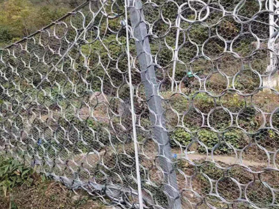 被动边坡防护网