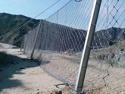 RX-075 型被动防护网图片3