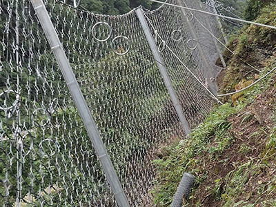 RXI-050 被动环形网图片2