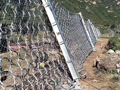 RXI-050 被动环形网图片3