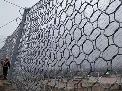 RXI-100 被动环形网图片2 RXI-100 被动环形网图片2