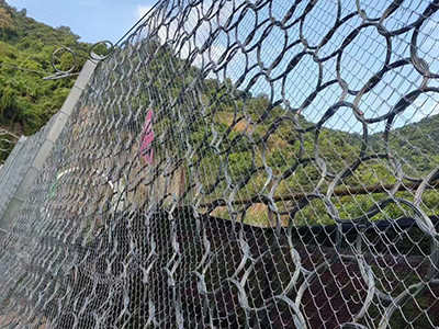 RXI-100 被动环形网图片4 RXI-100 被动环形网图片4