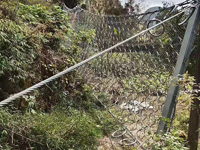 RXI-200 被动环形网图片4