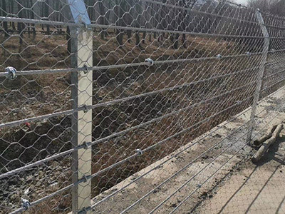 刚性防护网案例图片5